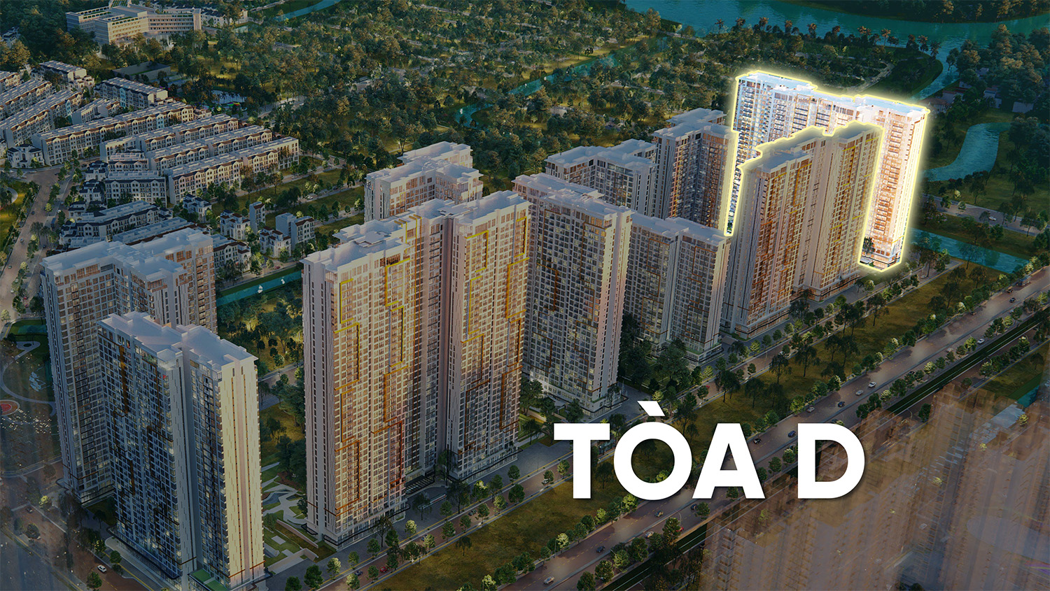 Mặt bằng TÒA D - DAISY - LUMIÈRE BOULEVARD